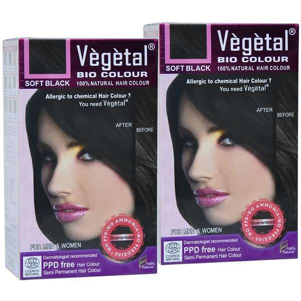 Vegetal Bio Colour Brown 50 gm (Pack of 2)